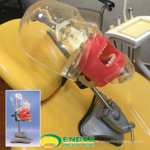 DENTAL02 (12559) Lehre Simple Phantom Dental Simulator Unit Head